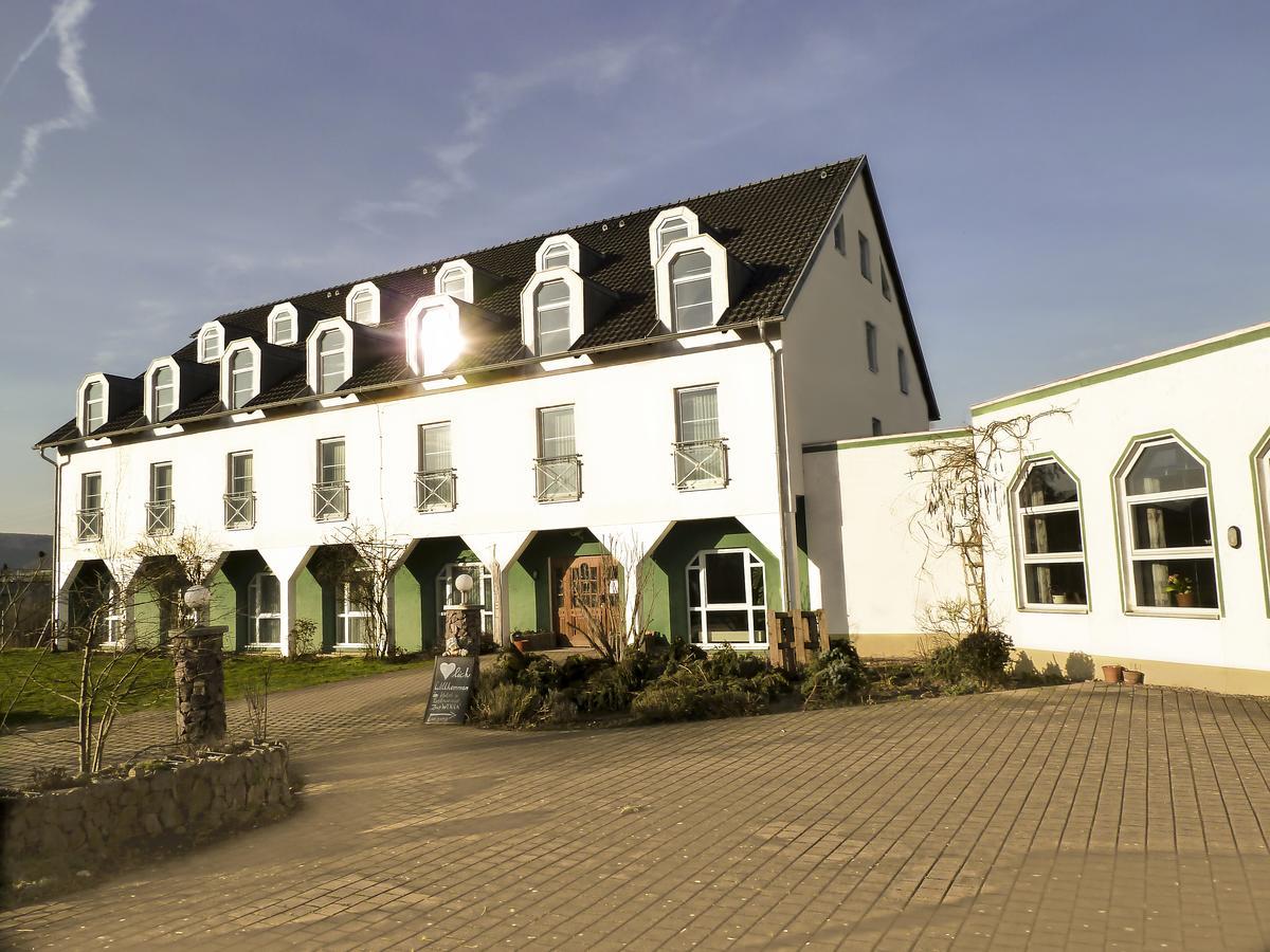 Hotel Zur Werra Шмалькальден Экстерьер фото